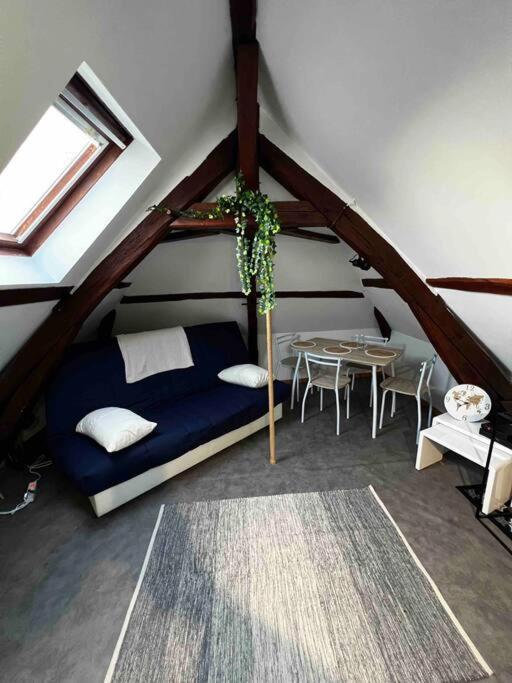 Tres Beau Studio Mansarde, Centre De Bourges 아파트 외부 사진